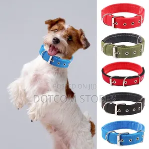 Durable Adjustable Dog Collar Green Large Dog Accessories