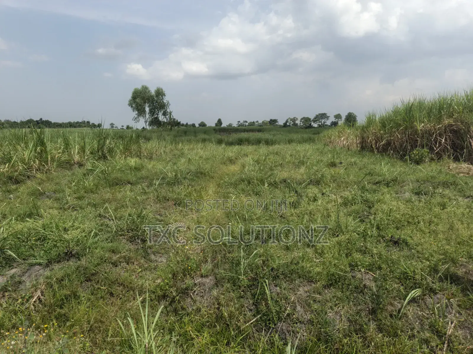 2 Acres of Land for Sale in Jinja-Busede Mixed Land Use.