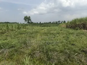 2 Acres of Land for Sale in Jinja-Busede Mixed Land Use.