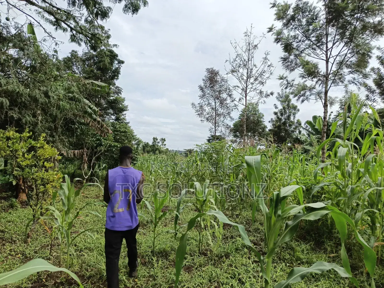 2 Acres of Land for Sale in Jinja-Busede Mixed Land Use.