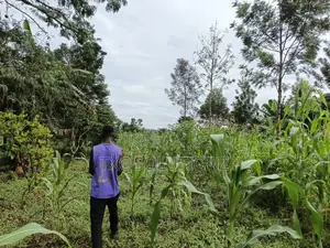 2 Acres of Land for Sale in Jinja-Busede Mixed Land Use.