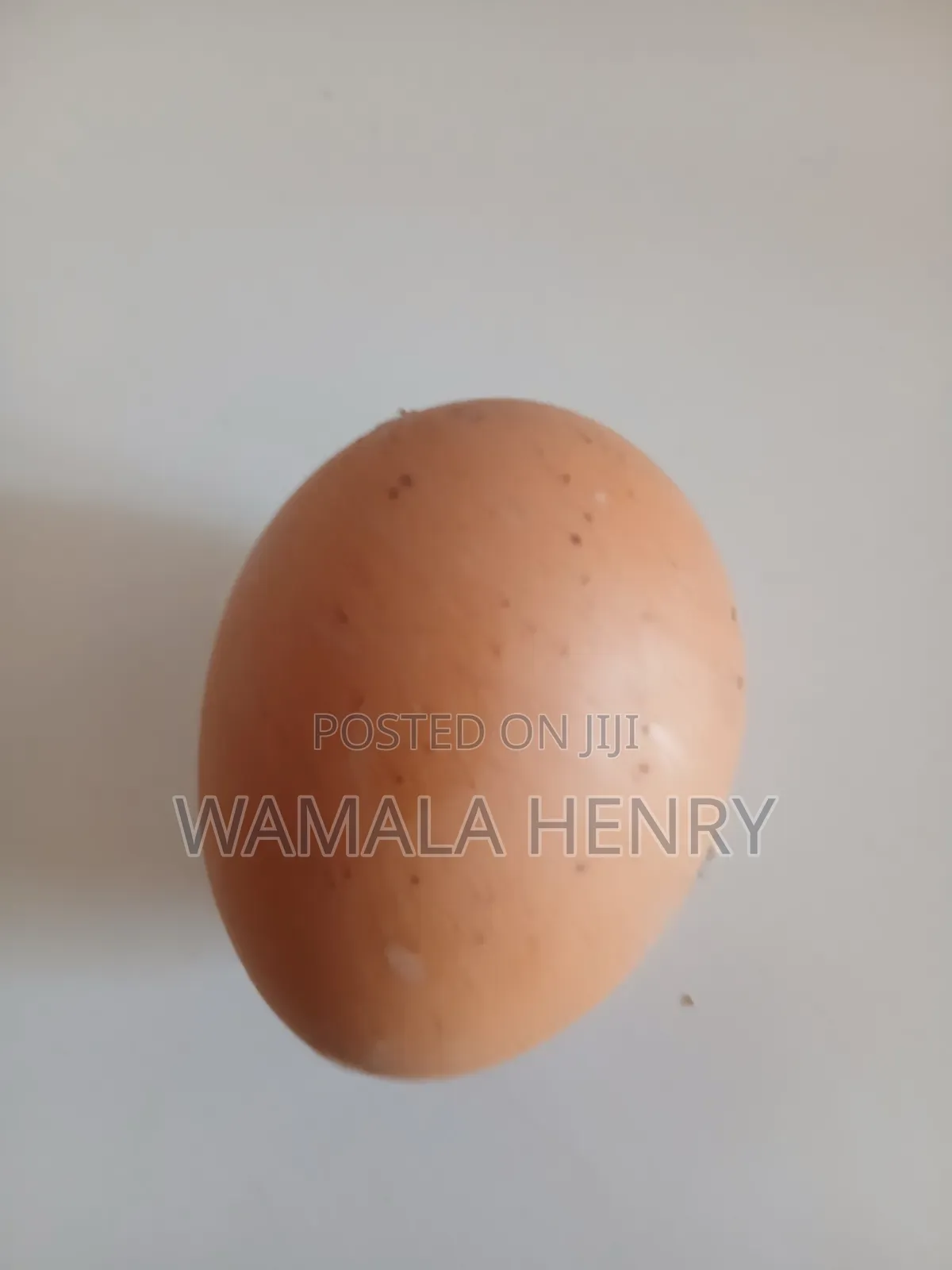 Eggs From Our Locally Reared Birds