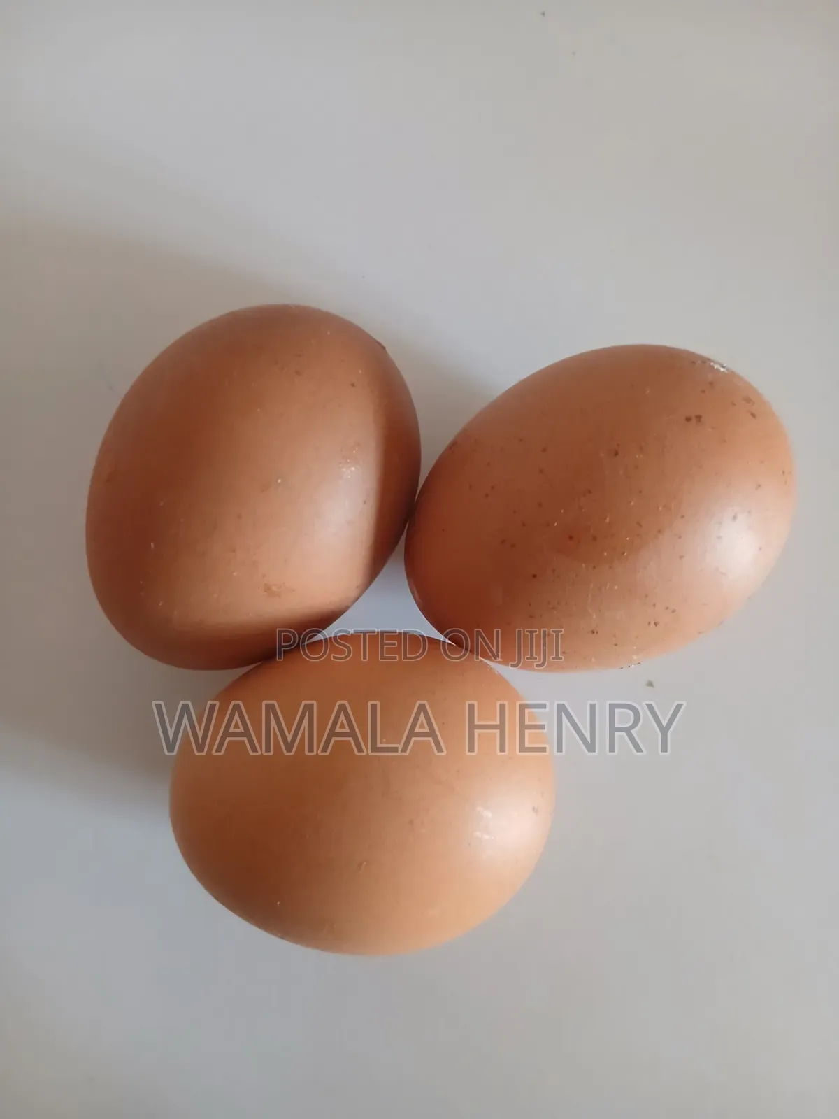 Eggs From Our Locally Reared Birds