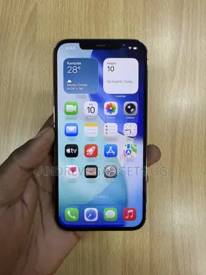 Apple iPhone 12 Pro Max 256 GB Gray