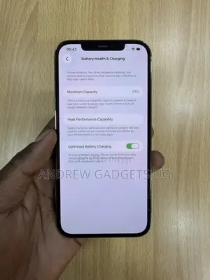 Apple iPhone 12 Pro Max 256 GB Gray