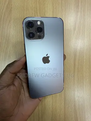Apple iPhone 12 Pro Max 256 GB Gray