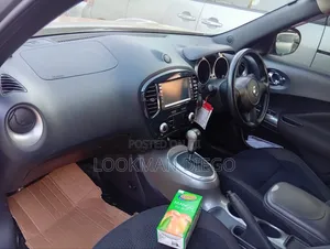 Nissan Juke 2011 Gray
