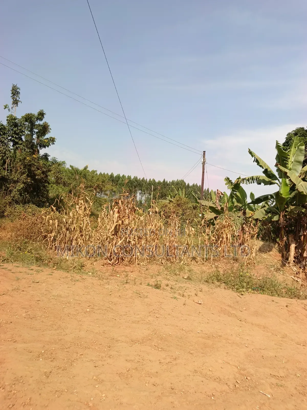 33 Decimals on Sale, Mityana Road