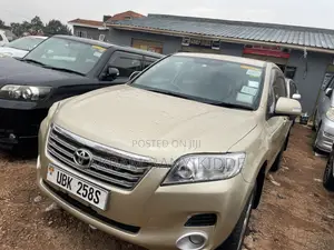 Toyota Vanguard 2010 Gold