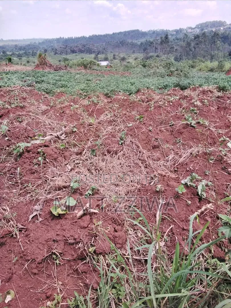 50x100 Land Plot in Kasanjye, Nakawuka