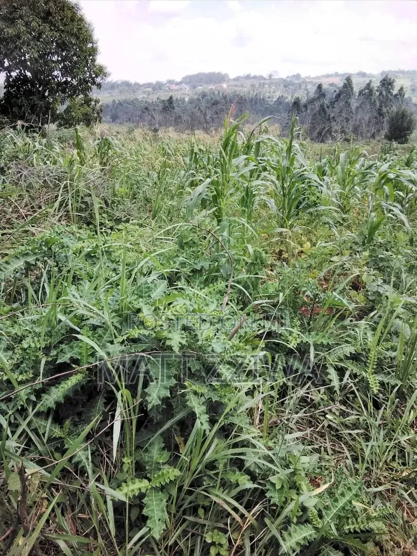 50x100 Land Plot in Kasanjye, Nakawuka