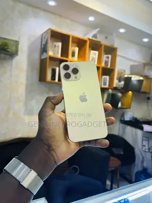 Apple iPhone 13 Pro Max 256 GB Gold