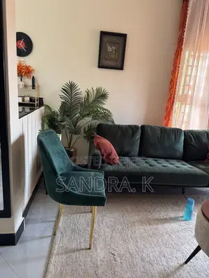 Luxury Chair