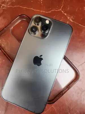 Apple iPhone 13 Pro Max 256 GB Gray