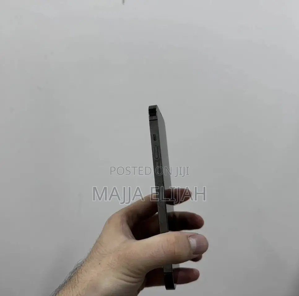 Apple iPhone 13 Pro Max 256 GB Gray