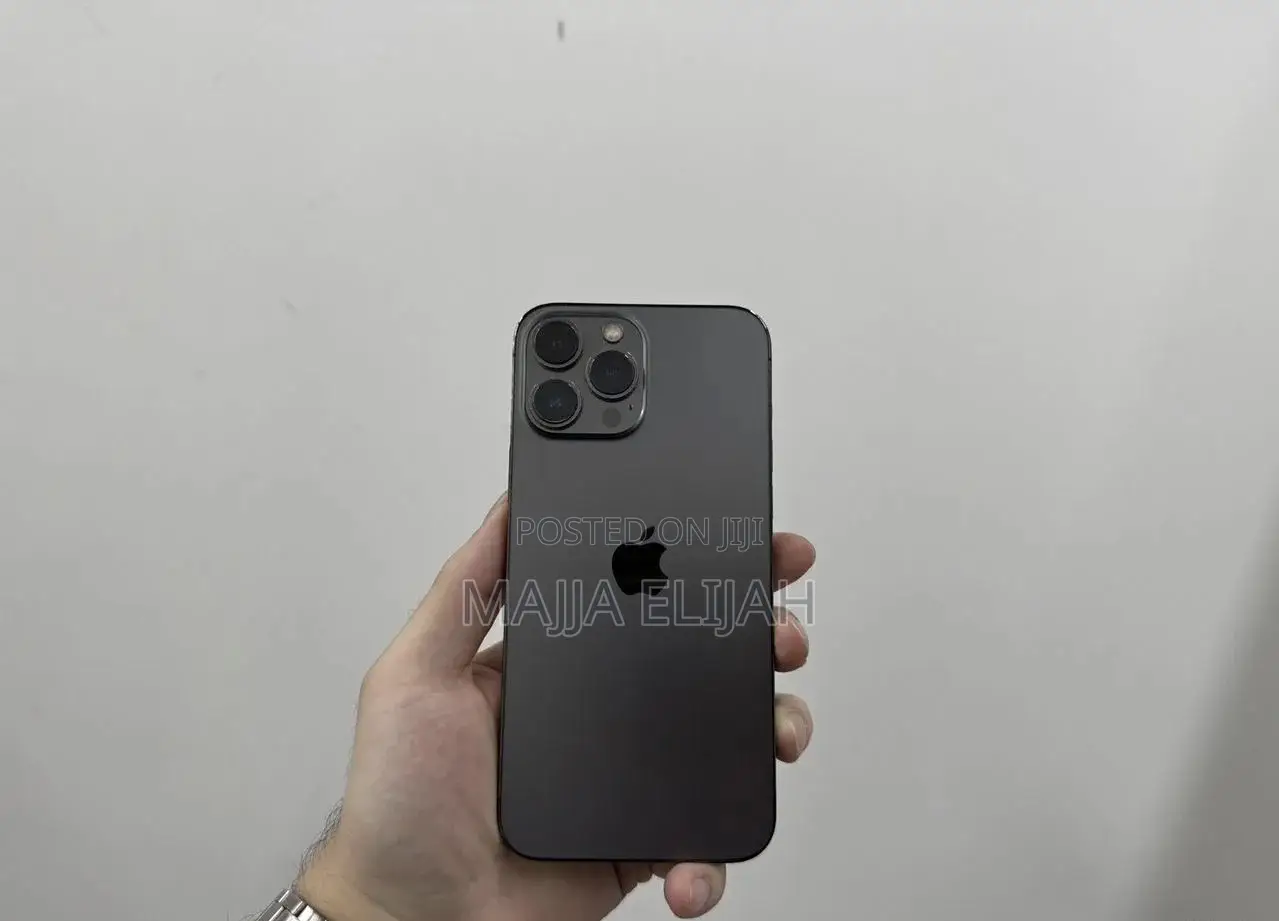 Apple iPhone 13 Pro Max 256 GB Gray