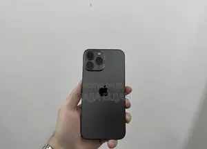 Apple iPhone 13 Pro Max 256 GB Gray