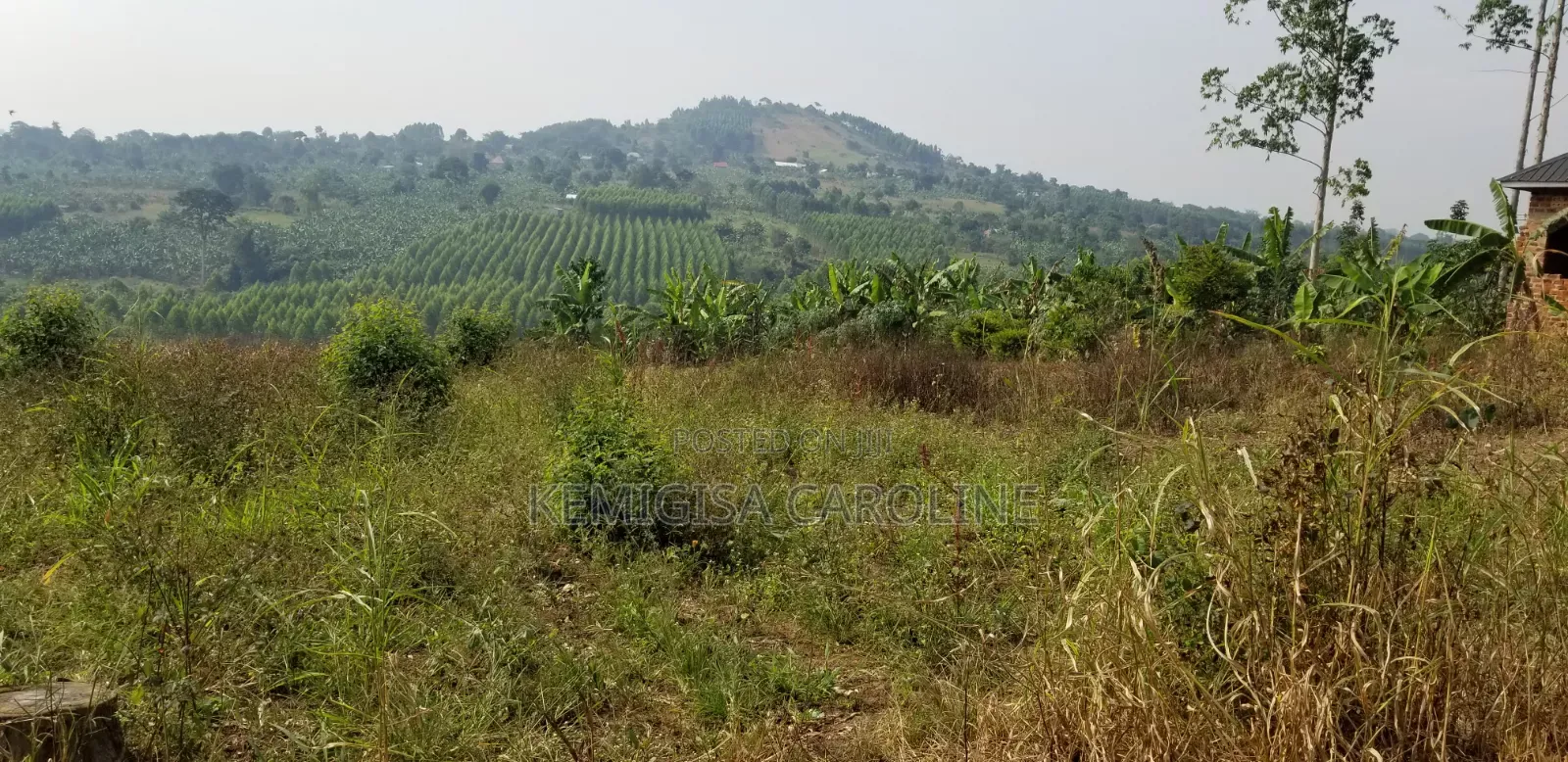 Plot of 35 * 60 Ft for Sale in Bulamu