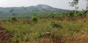 Plot of 35 * 60 Ft for Sale in Bulamu