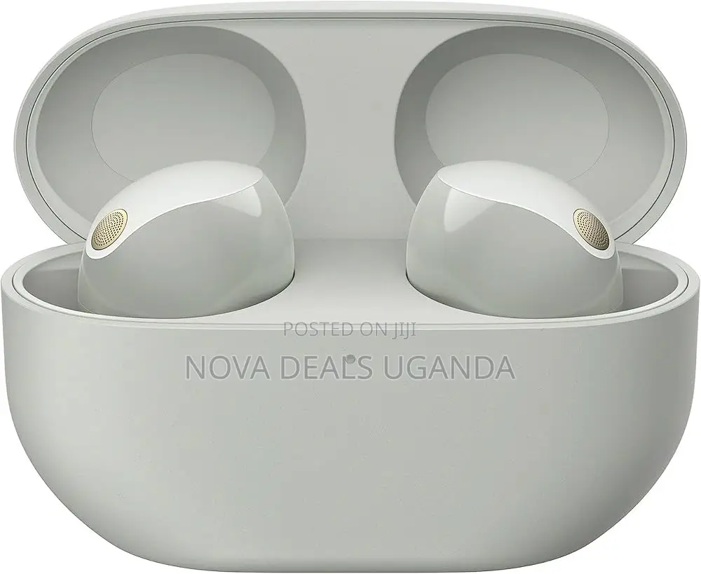 Sony Wf-1000xm5 Wireless Noise Cancelling Earbuds