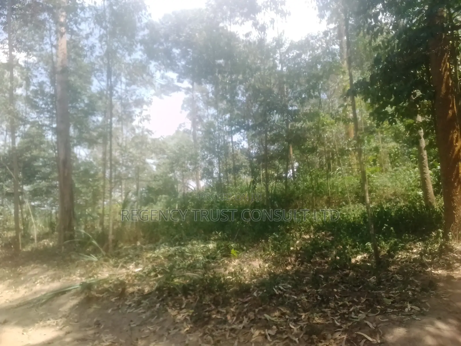 5 Acres of Industrial Land Is Available for Sale at 400m in Ndegeya