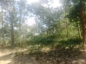 5 Acres of Industrial Land Is Available for Sale at 400m in Ndegeya