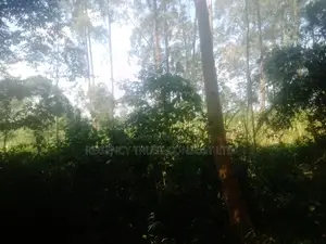 5 Acres of Industrial Land Is Available for Sale at 400m in Ndegeya