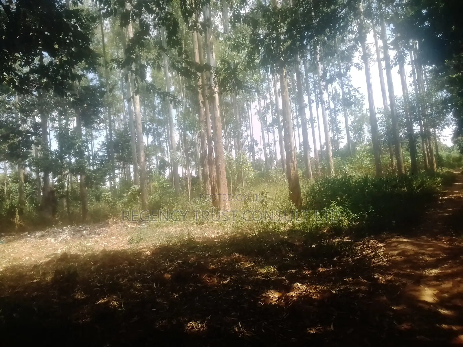 5 Acres of Industrial Land Is Available for Sale at 400m in Ndegeya