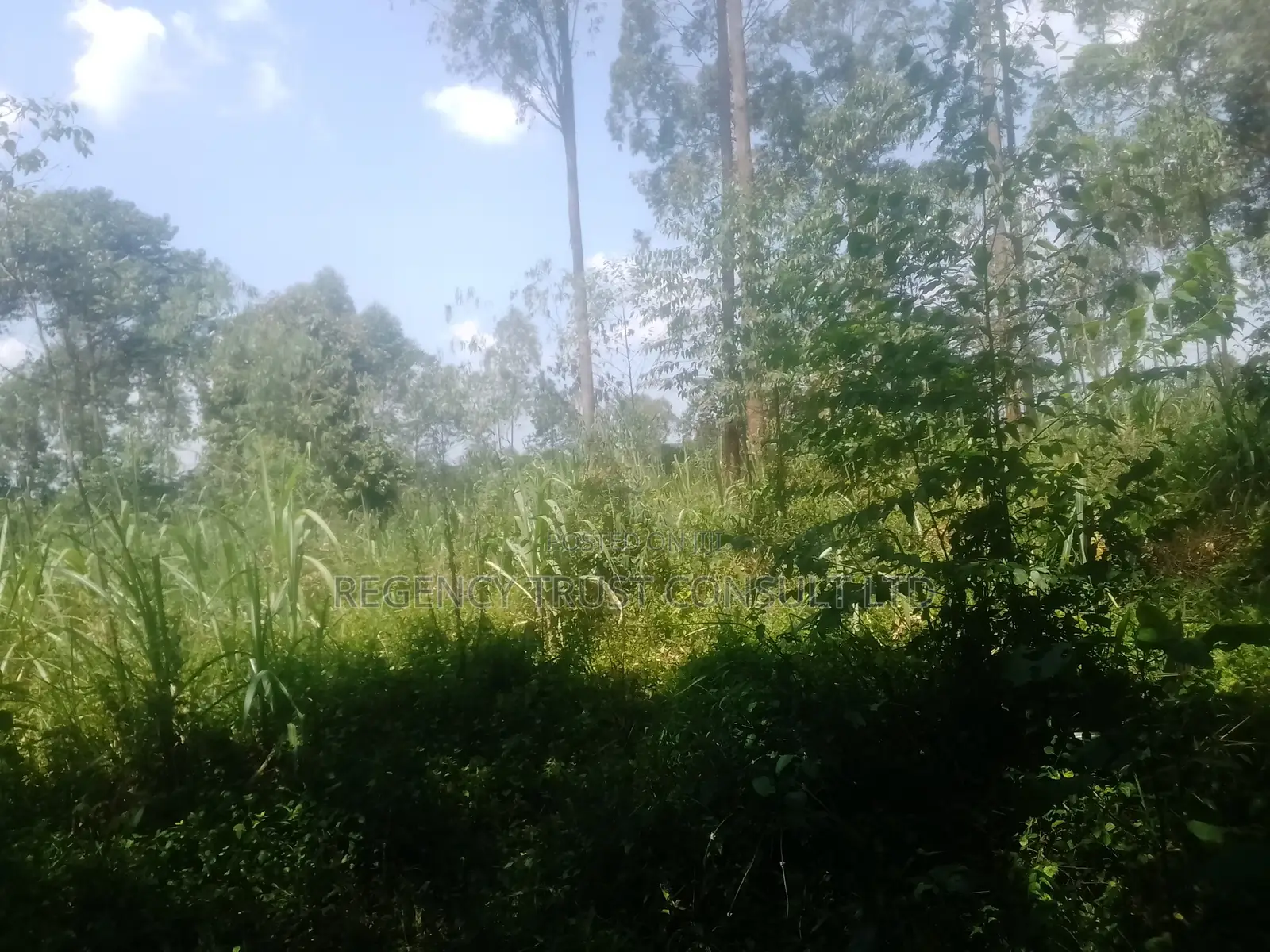 5 Acres of Industrial Land Is Available for Sale at 400m in Ndegeya