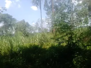 5 Acres of Industrial Land Is Available for Sale at 400m in Ndegeya