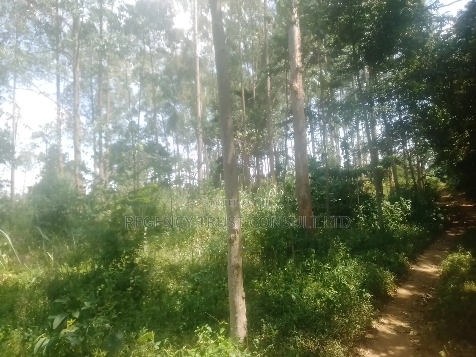 5 Acres of Industrial Land Is Available for Sale at 400m in Ndegeya