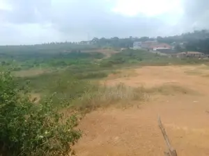 3 Acres of Industrial Land Is on Sale in Namanve