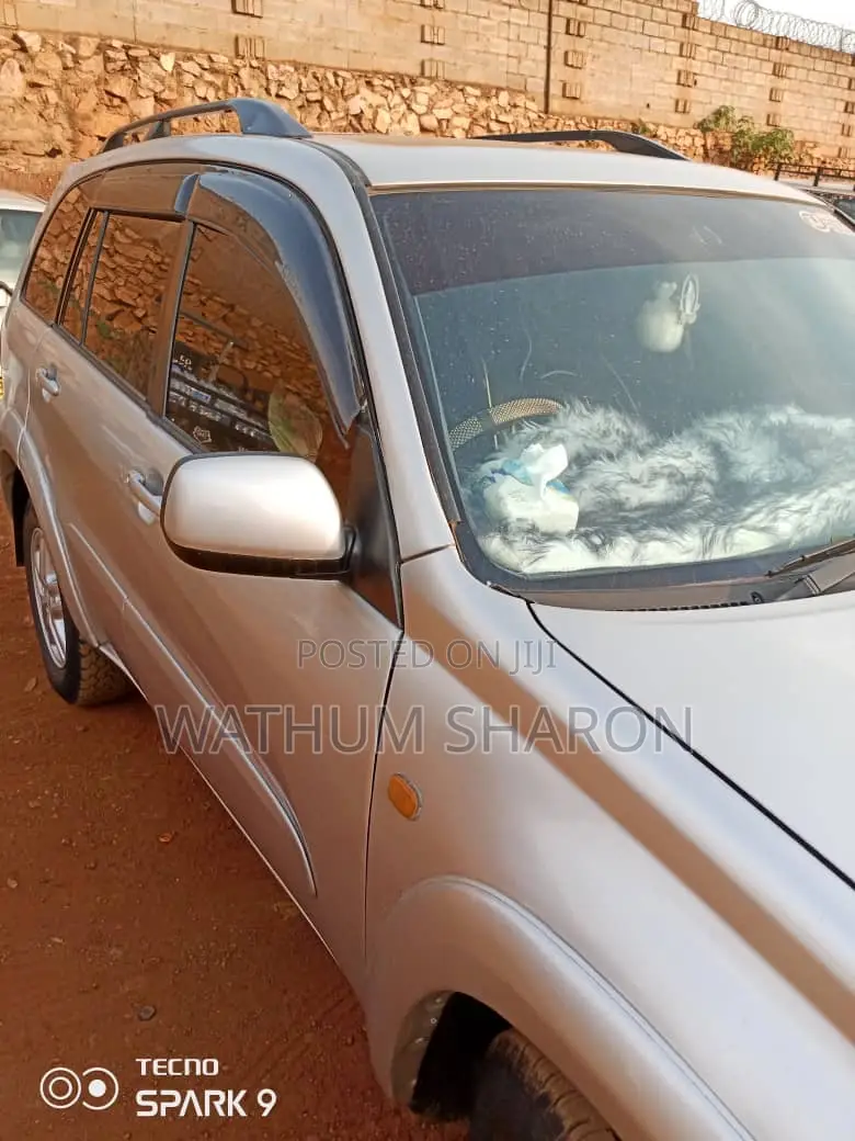 Toyota RAV4 2002 Silver