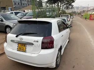 Toyota Allex 2006 White
