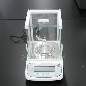 Analytical High Precision Weighing Scale