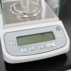Analytical High Precision Weighing Scale