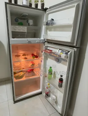 LG Double Door Non Frost Refrigerator 365 LTR