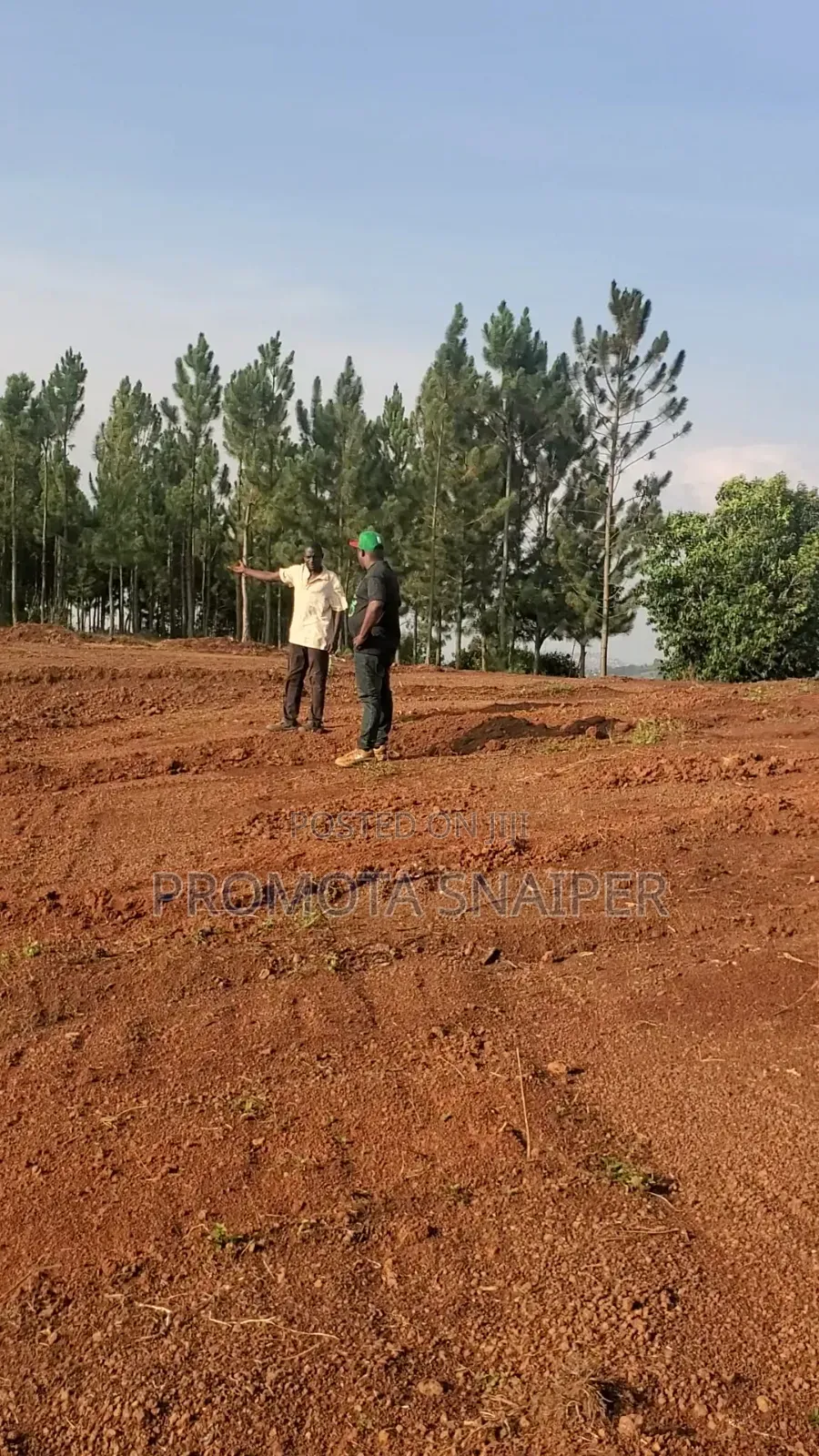 Land for Sale