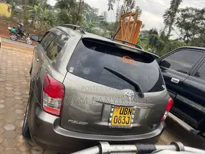 Toyota Corolla Fielder 2010 Gray