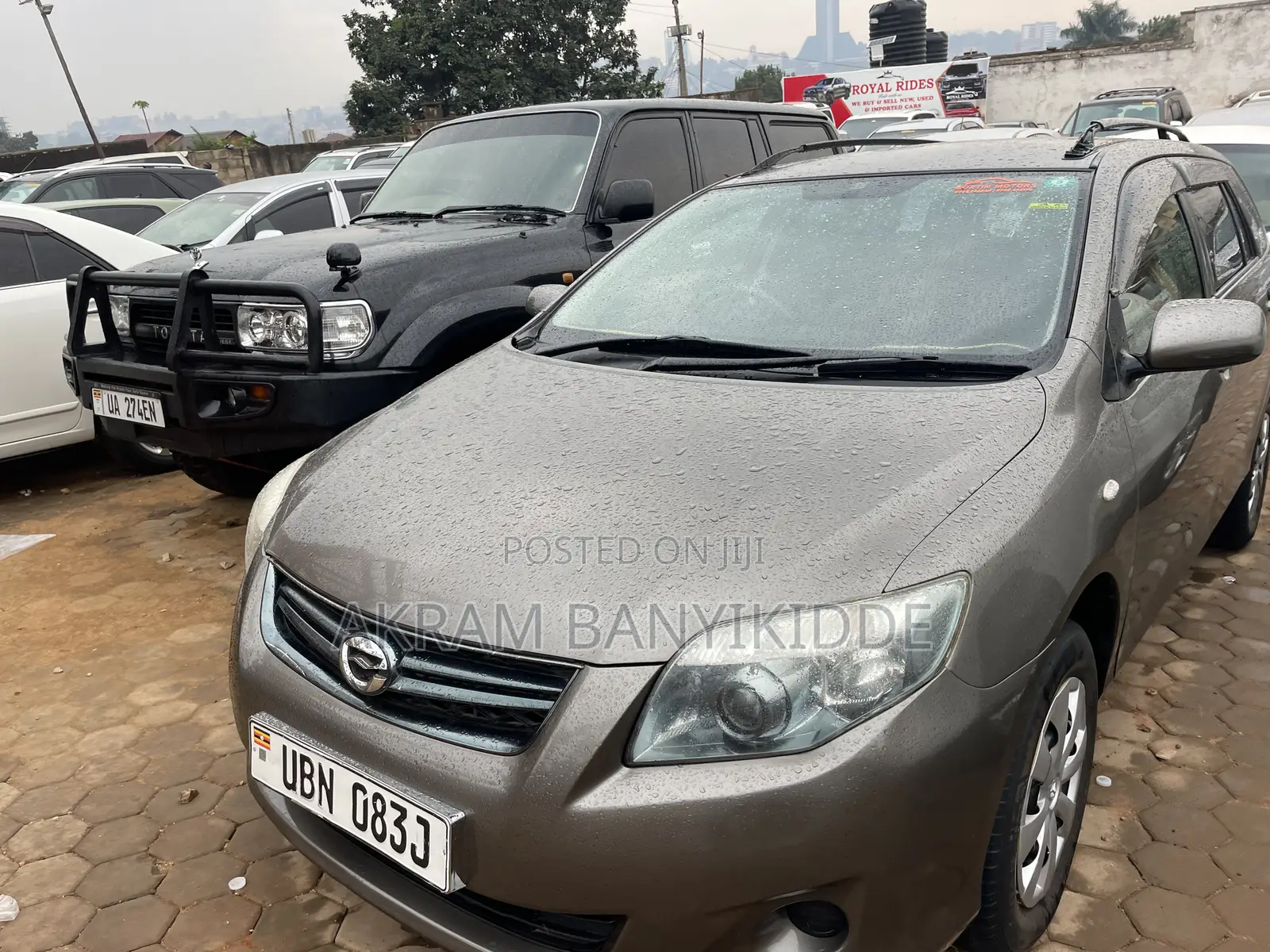 Toyota Corolla Fielder 2010 Gray