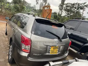 Toyota Corolla Fielder 2010 Gray