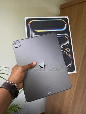 Apple iPad Air 13 (2024) 256 GB Gray