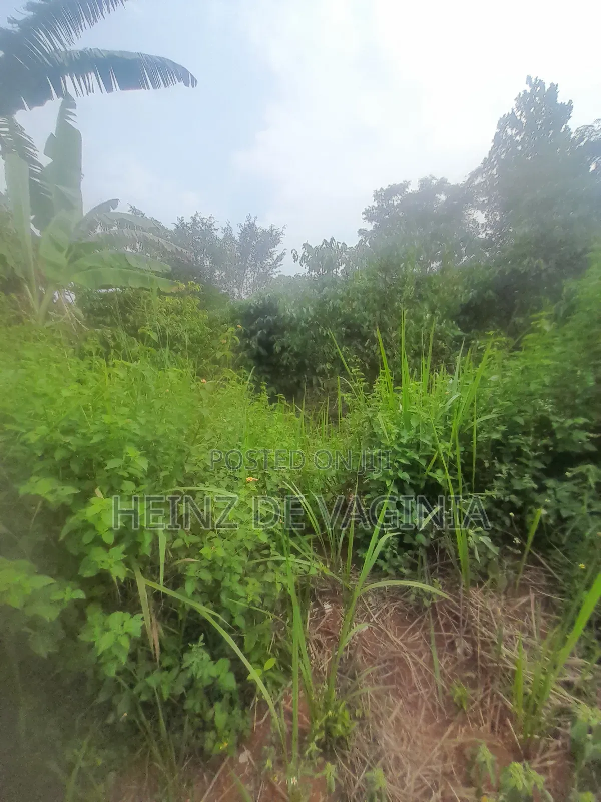 Prime Land for Sale W'obulenzi - Buzibwera