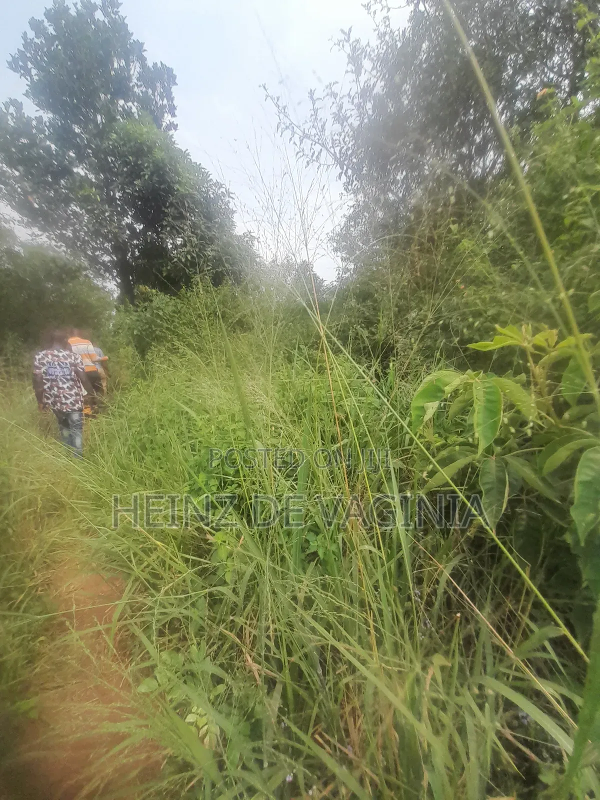 Prime Land for Sale W'obulenzi - Buzibwera