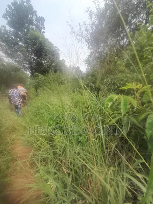 Prime Land for Sale W'obulenzi - Buzibwera