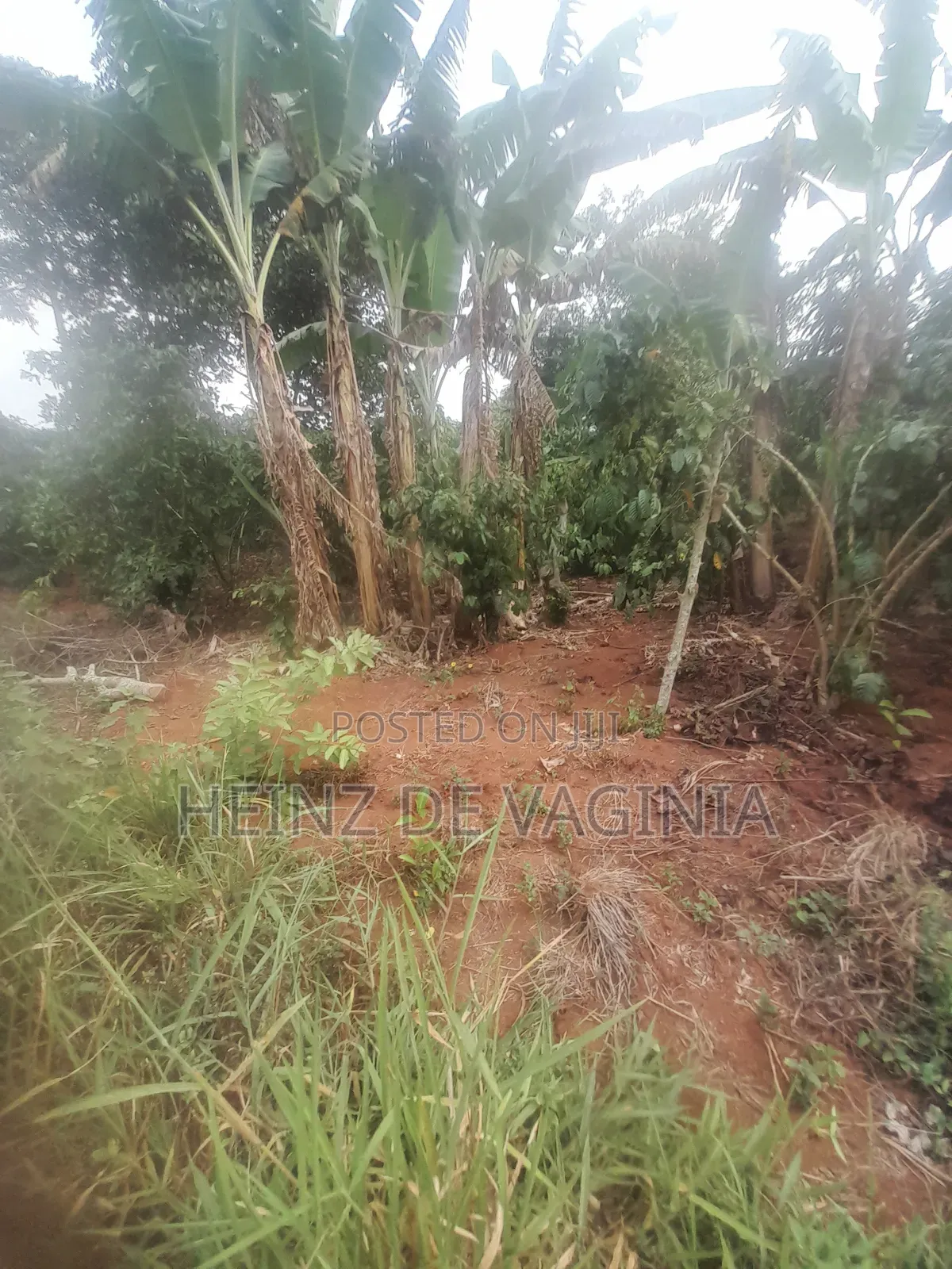 Prime Land for Sale