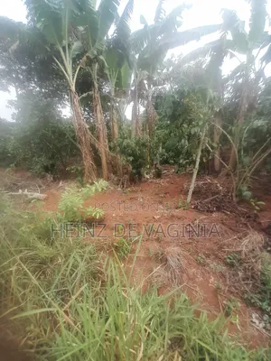 Prime Land for Sale