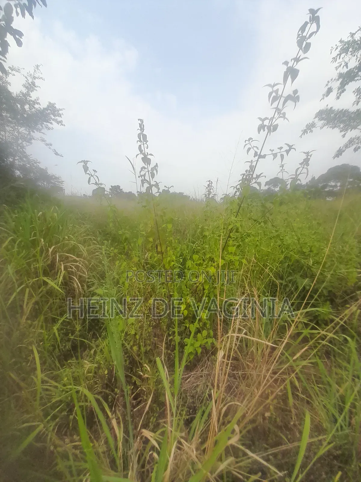 Prime Land for Sale