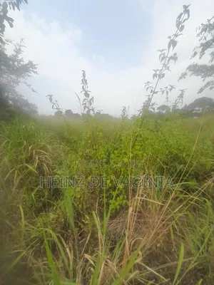 Prime Land for Sale