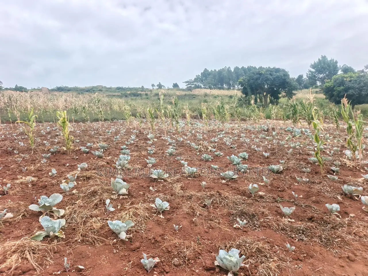 Land for Sale – Mukono Mbalala